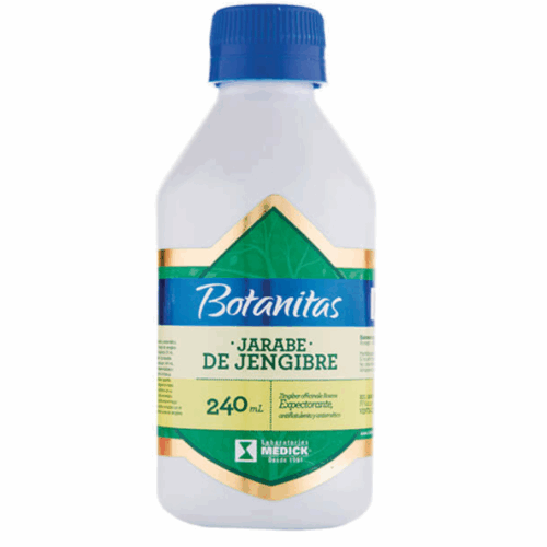 JARABE DE JENGIBRE X 240 ML
