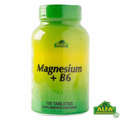 MAGNESIUM + VITAMINA B6 X100 TAB