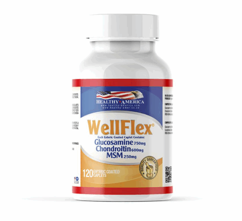 GLUCOSAMINA 750 MG + COND 600MG(WELLFLEX) X 120 CAPULAS